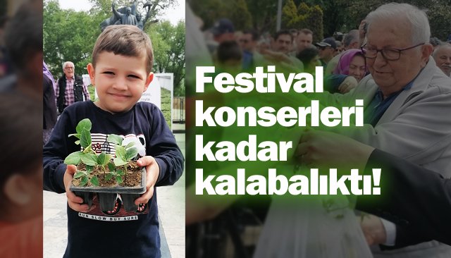 ÜCRETSİZ FİDEYE ÇOK BÜYÜK İLGİ