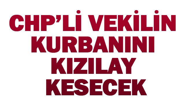 VEKİL, VEKALETİ KIZILAY´A VERDİ