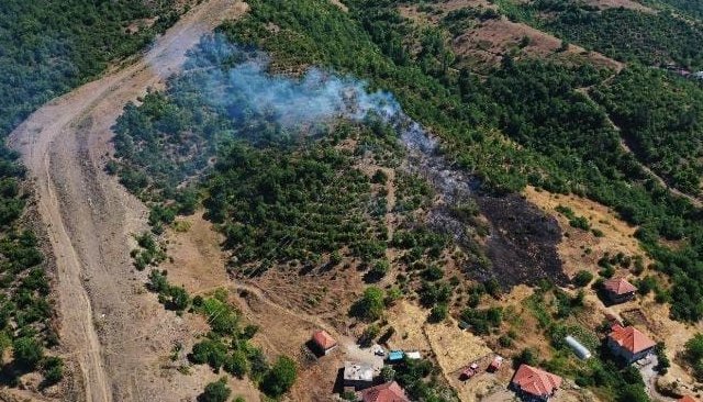 ÇAYIR KÖYÜNDE ORMAN YANGINI