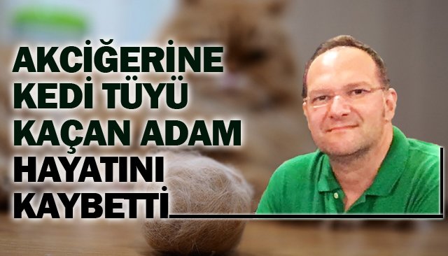 AKCİĞERİNE KEDİ TÜYÜ KAÇAN ADAM HAYATINI KAYBETTİ
