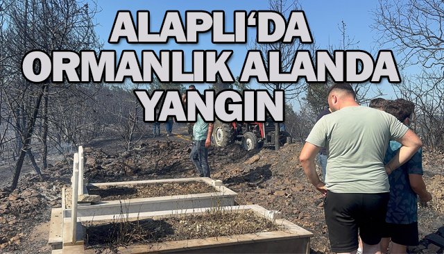 Alaplı´da ormanlık alanda yangın