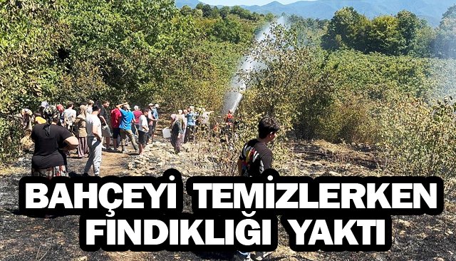 BAHÇEYİ TEMİZLERKEN  FINDIKLIĞI YAKTI