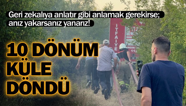 CEZASISI 386 LİRA OLURSA BÖYLE OLUR!