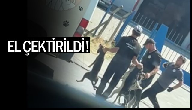 EL ÇEKTİRİLDİ!