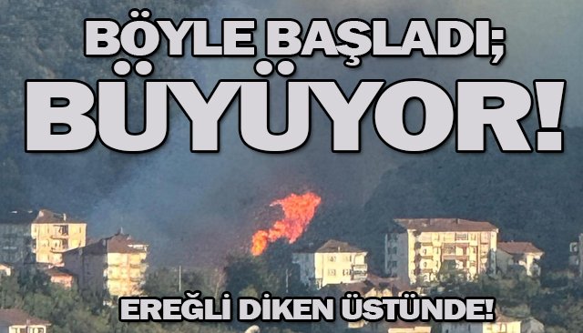 EREĞLİ’DE BÜYÜK ORMAN YANGINI! ŞEHRİN HER NOKTASINDAN GÖRÜLÜYOR…