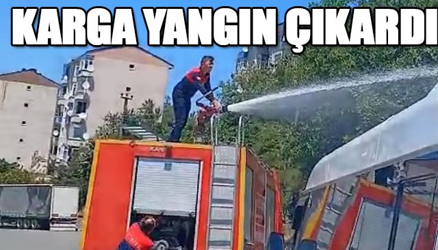 KARGA YANGIN ÇIKARDI