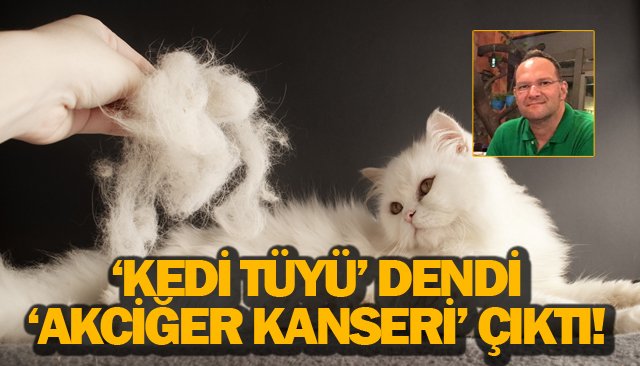 ‘KEDİ TÜYÜ’ DENDİ ‘AKCİĞER KANSERİ’ ÇIKTI!