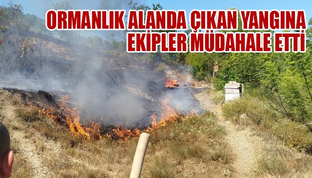 ORMANLIK ALANDA ÇIKAN YANGINA EKİPLER MÜDAHALE ETTİ
