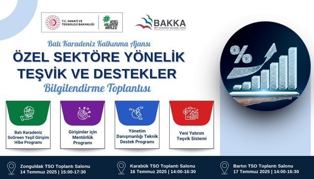 ÖZEL SEKTÖRE TEŞVİK VE DESTEKLER