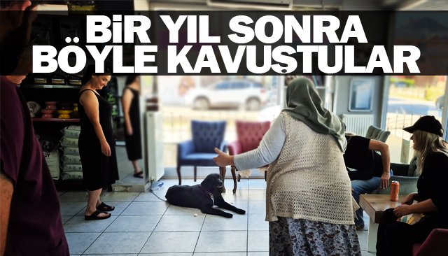 PUFİ AİLESİNE KAVUŞTU