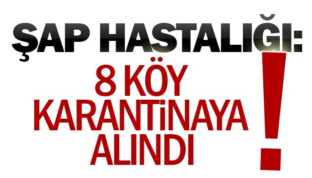 ŞAP HASTALIĞI: 8 KÖY KARANTİNAYA ALINDI