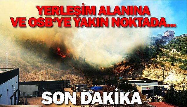  SON DAKİKA: YANGINI ÇIKTI!