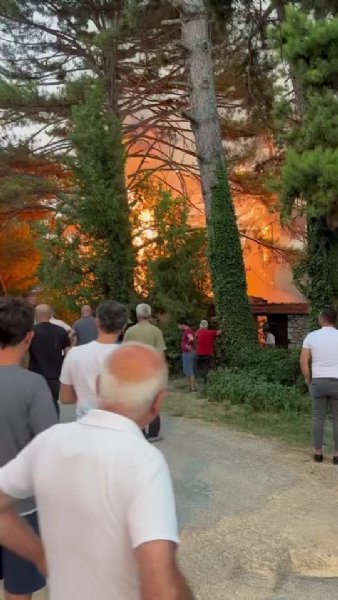 Söndürme çalışmalarına katılan pilot: ´´Her giden canlıyı gördükçe üzülüyoruz.´´ - 9