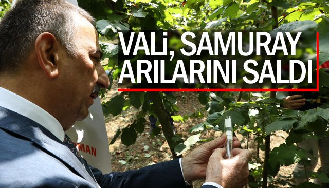 ARILARI SALDI, BELDEYİ GEZDİ