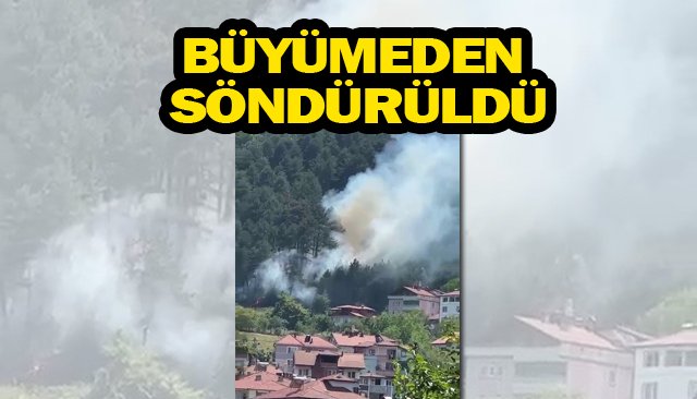 YANGIN BÜYÜMEDEN SÖNDÜRÜLDÜ