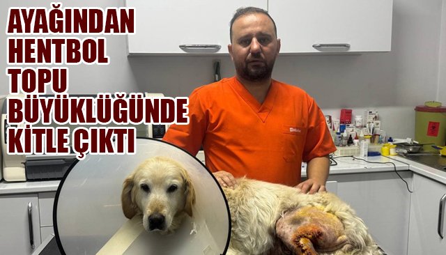 AYAĞINDAN HENTBOL TOPU BÜYÜKLÜĞÜNDE KİTLE ÇIKTI