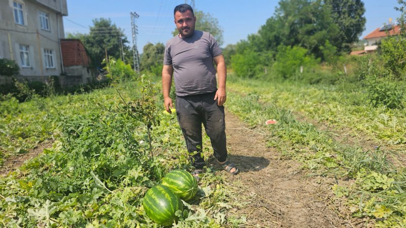 BABA MESLEĞİNİ BIRAKTI, 20 DÖNÜMDE ÜRETİM YAPIYOR - 1