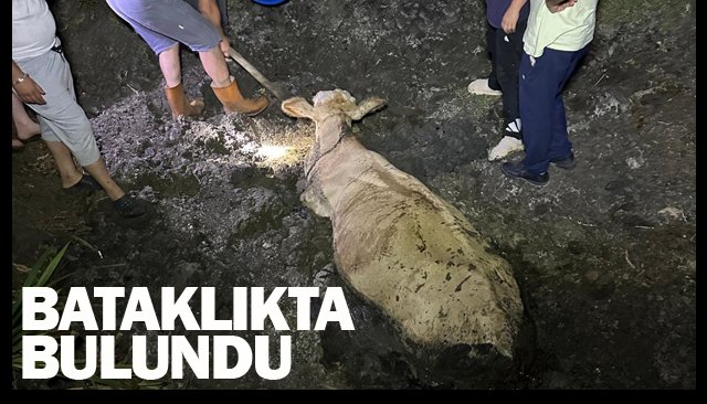 BATAKLIKTA BULUNDU