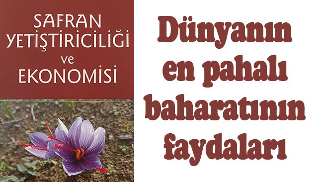 Dünyanın en pahalı baharatının faydaları