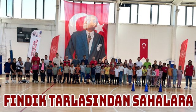 FINDIK TARLASINDAN SAHALARA