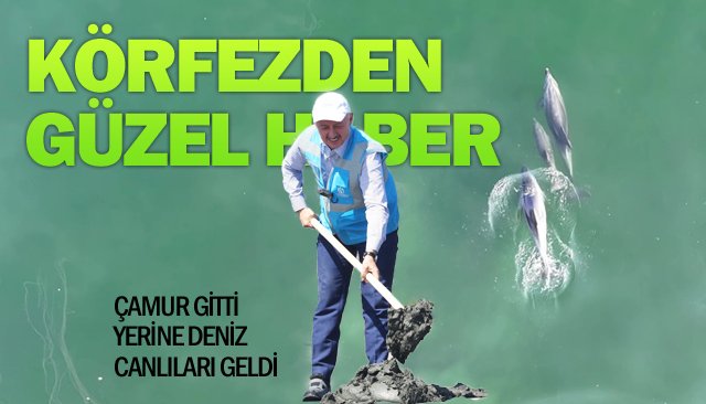 FOTOĞRAF GALERİ