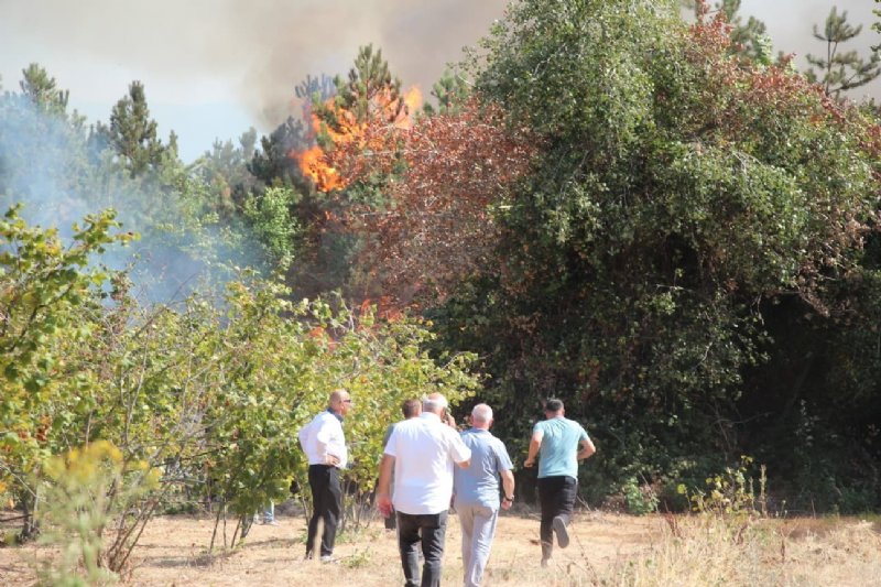 helikopter ve 28 yangın söndürme aracı ile müdahale edildi - 2