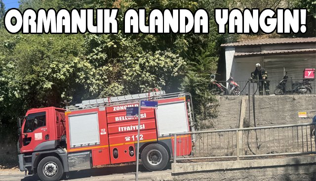 ORMANLIK ALANDA YANGIN!