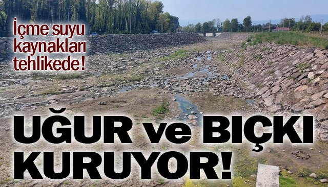UĞUR VE BIÇKI  KURUYOR!