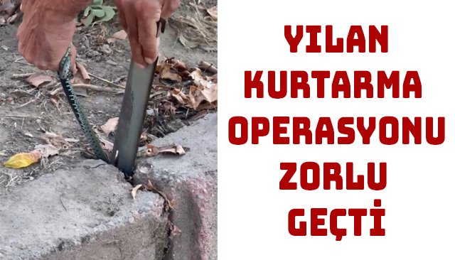 YILAN KURTARMA OPERASYONU