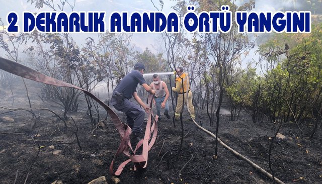 2 DEKARLIK ALANDA ÖRTÜ YANGINI