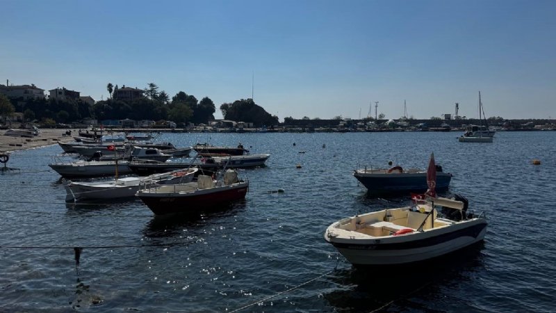 BU YIL BOL HAMSİ BEKLİYORUZ - 3