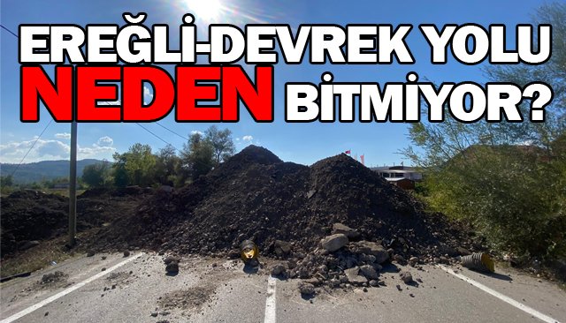 BU YOLU KİM YAPACAK?