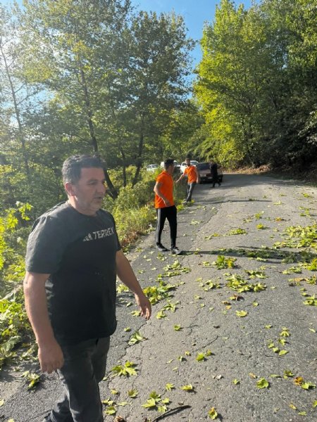 DEVRİLEN AĞAÇ YOLU KAPATTI - 2