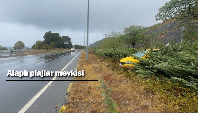 DİREĞE ÇARPTI, ÇALILIK ALANA SAVRULDU