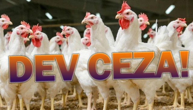 REKABET KURULUNDAN  PİLİÇ DEVLERİNE CEZA!