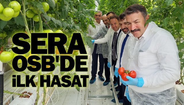 SERA OSB´DE  İLK HASAT