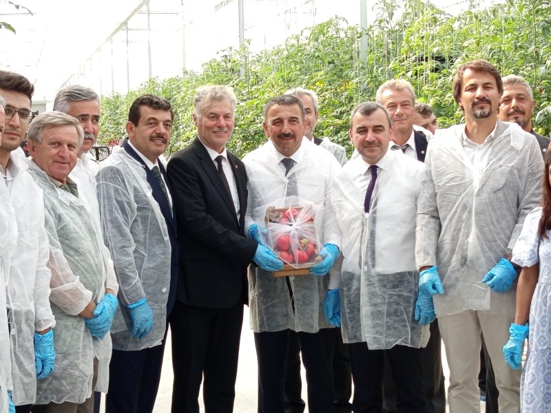 SERA OSB´DE  İLK HASAT - 2