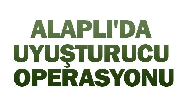 ALAPLI´DA  UYUŞTURUCU  OPERASYONU