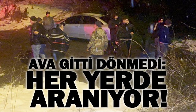 AVA GİTTİ DÖNMEDİ:  HER YERDE ARANIYOR!