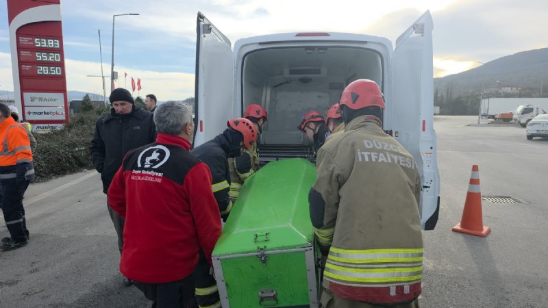 BARİYERLERE  SAPLANDI: 2 ÖLÜ - 1