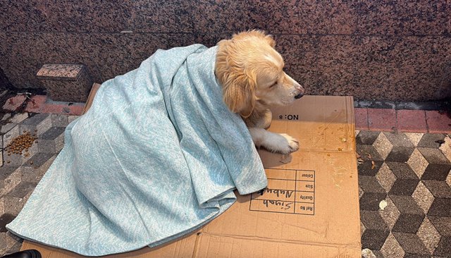 BATTANİYE SATIN ALDI, ÖRTTÜ…