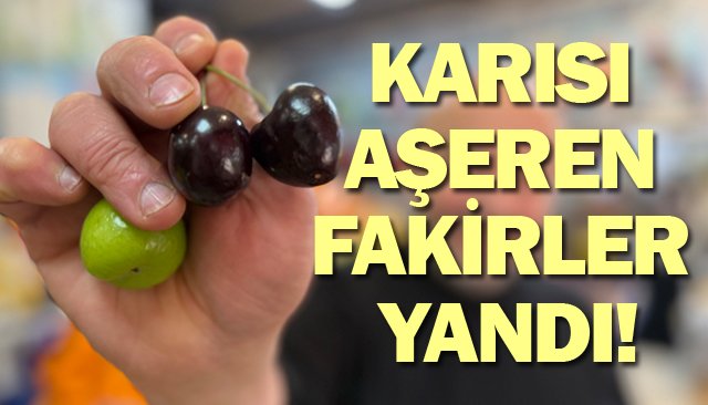 BİR TANE ERİK KAÇ LİRA OLABİLİR? 