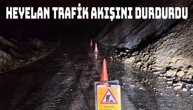 HEYELAN TRAFİK AKIŞINI DURDURDU