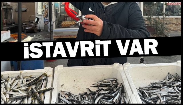 İSTAVRİT VAR