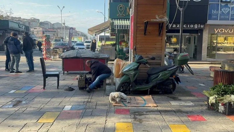 AYAKKABI  BOYACISI  ÖDÜL ALDI - 2