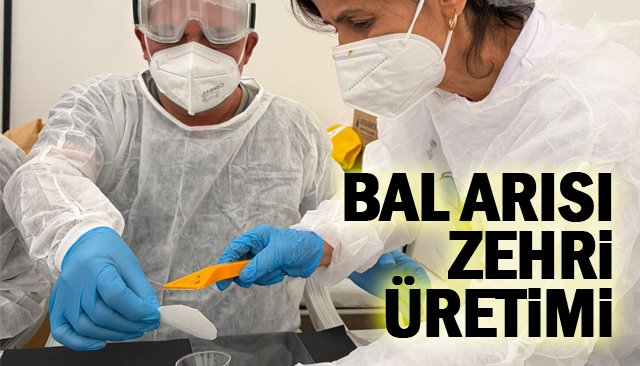 BAL ARISI ZEHRİ ÜRETİMİ