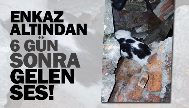 ENKAZ ALTINDAN  6 GÜN SONRA GELEN SES!