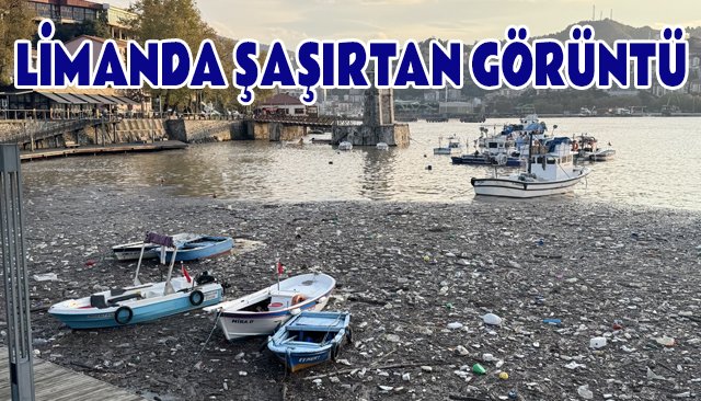 LİMANDA ŞAŞIRTAN GÖRÜNTÜ