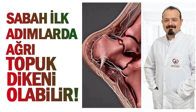 SABAH  İLK ADIMLARDA AĞRI  TOPUK DİKENİ  OLABİLİR!