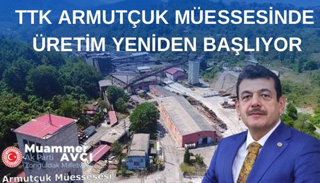 AVCI: TTK ARMUTÇUK MÜESSESİNDE ÜRETİME YENİDEN BAŞLIYORUZ 